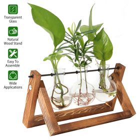 Glass Planter Bulb Plant Terrarium with Wooden Stand