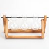 Glass Planter Bulb Plant Terrarium with Wooden Stand