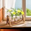 Glass Planter Bulb Plant Terrarium with Wooden Stand