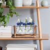 Glass Planter Bulb Plant Terrarium with Wooden Stand