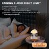 Rain Drop Cloud Humidifier