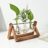 Glass Planter Bulb Plant Terrarium with Wooden Stand