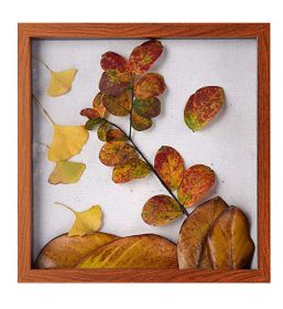 Square Shadow Box Picture Frame (Color: Brown)